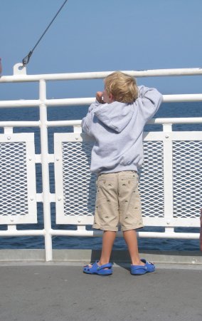 Ferry to the Vineyard