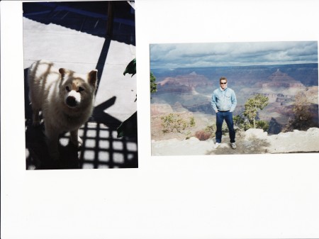 My Samoyed/Chow,Bear & myself at the Canyon