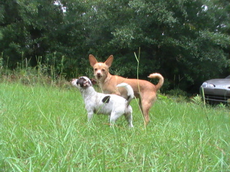 Cookie and Baby