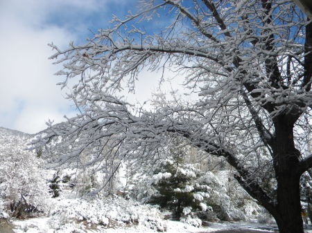 February snow fall