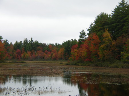 Maine in the Fall