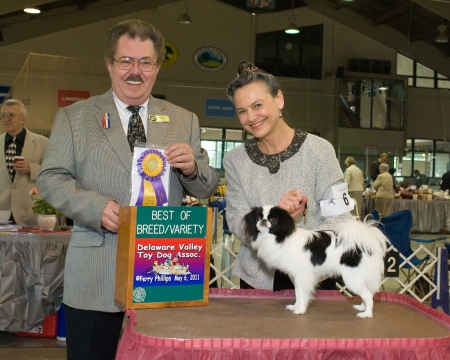 Anita M. Lopker, M.D.'s album, Dr. Lopker &amp; Japanese Chin Show Dogs 2011