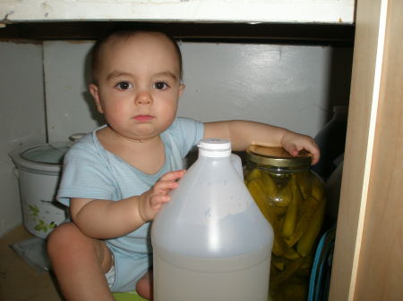 Cupboard Elf