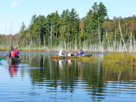 Canoeing across beaver pond, day 2