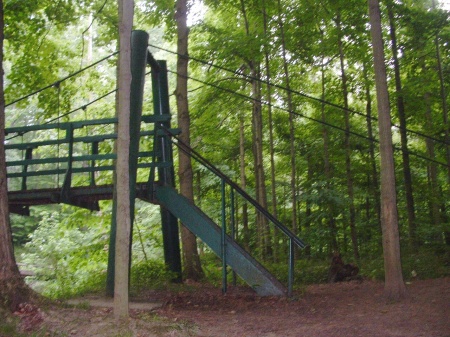 Bridge in the woods