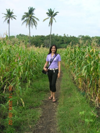 arlene in the philippines