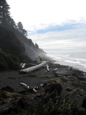 Olympic National Park - Beach 4