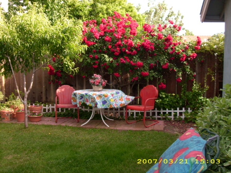 home & garden 2007-4