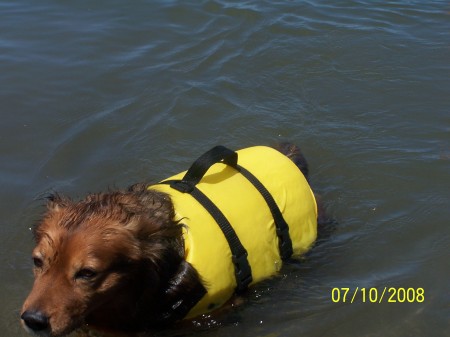 Here, "RASCLE" is modeling a life vest?