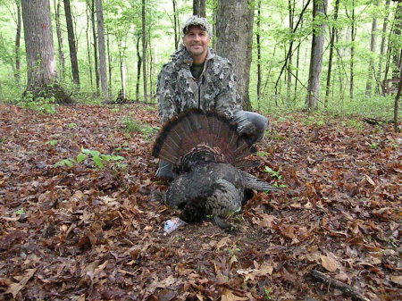 First Turkey in my back woods 