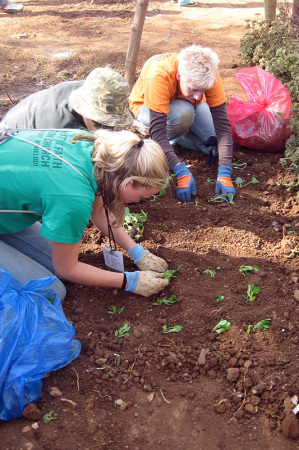 Gardening