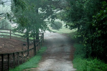 Leading to the Barn