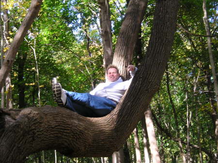 ME IN A TREE!