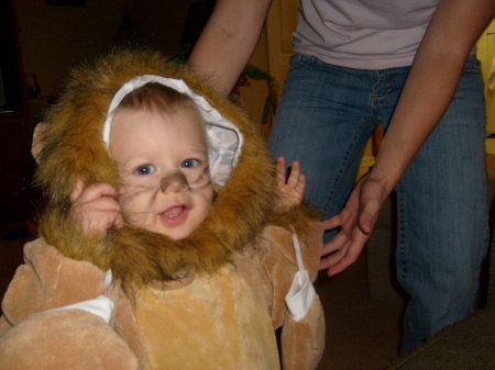 Greyson, the Lion