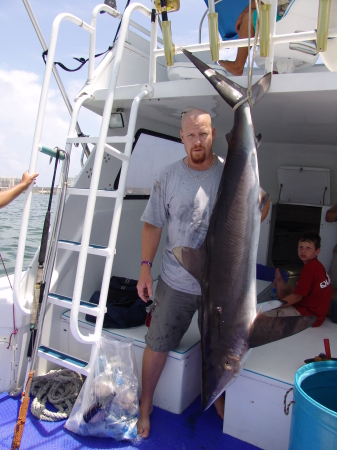 Black Tip Shark in Cancun