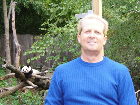 Tai Shan at National Zoo, D.C.