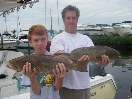 Tampa Bay grouper