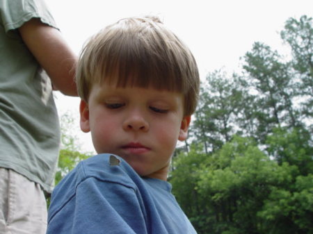 Nathan and the butterfly