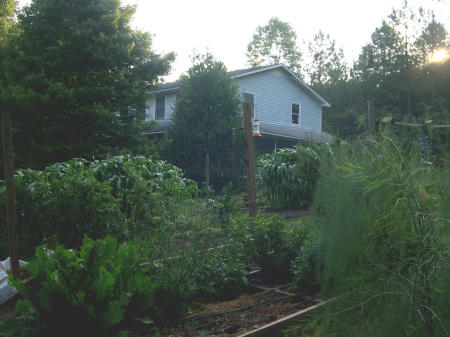 House / garden