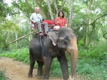 Smaller Elephant - NW Thailand