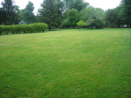 Our back yard 06' - Proving grounds!!