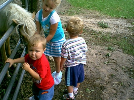 2 of my grand kids busy feeding pony