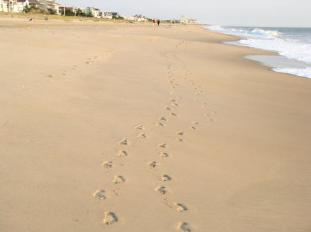 Footprints in the sand at Dewey Beach!