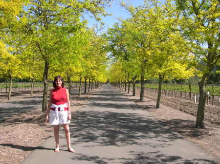 Napa  California, Sterling Vineyards entry