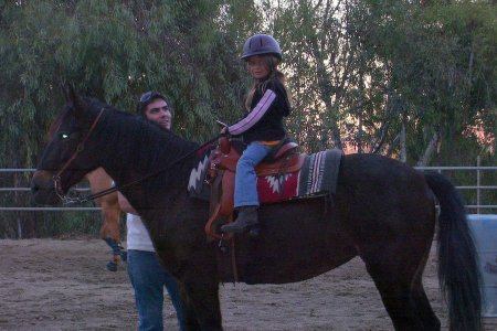 Dominique's riding lessons