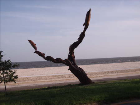 Carvings in Median