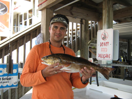 27" Redfish