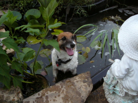 Max in a pond