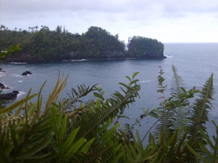 omena bay - east side ~ north of hilo
