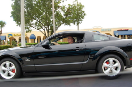 The new 08" Stang!