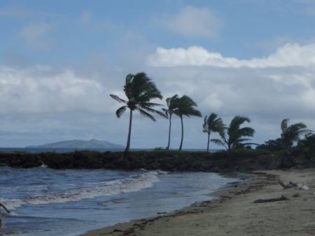 Beach at the Pearl Resort, Fiji