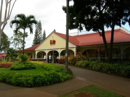 Dole Plantation