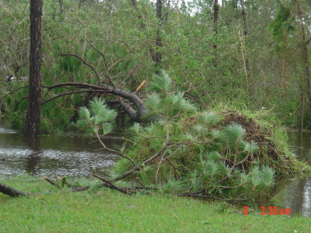 Hurricane of 2004 Jeanne