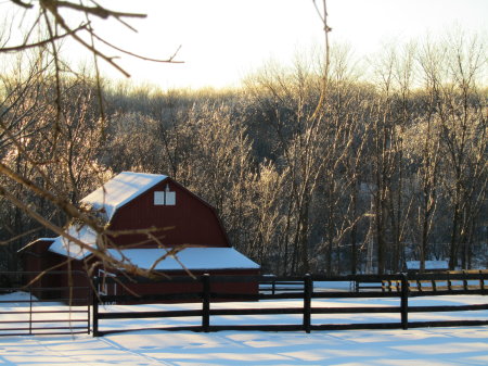 My barn in the frt. field.