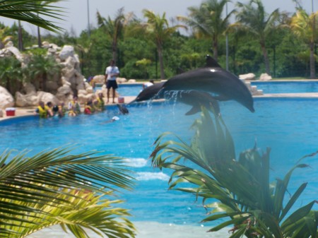 Wet n Wild park Cancun