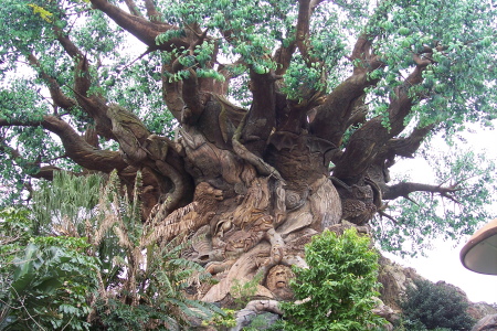 other side of Tree of Life