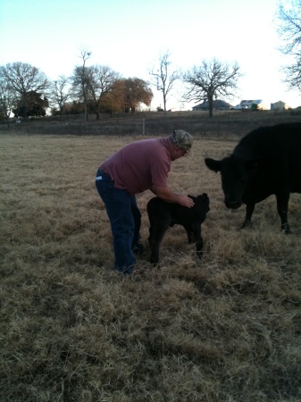 November 2010 Rob with new calf