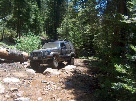 wendy wheelin her jeep