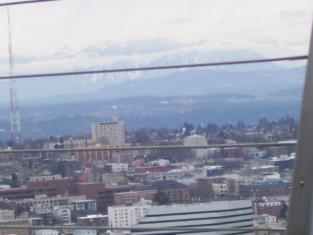 View from the top of the Space Needle