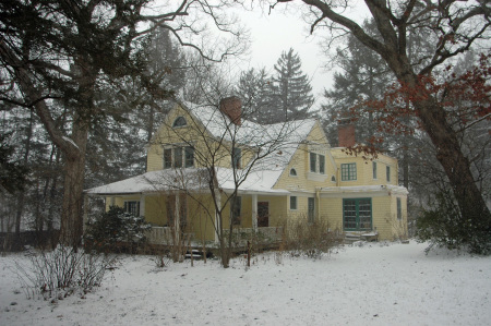 our back yard at Christmas 2007