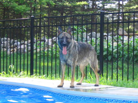 Ceara by the pool