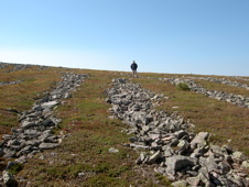 Periglacial Stone Stripes, Gaspésie