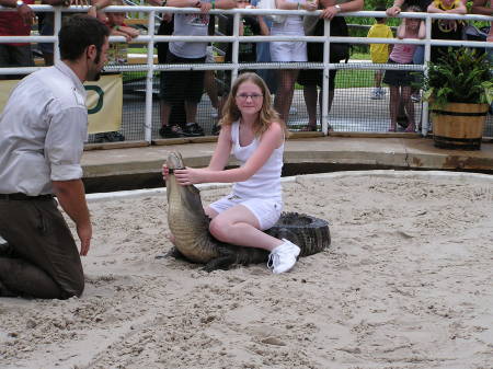 Gatorland