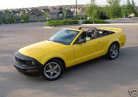 my new Mustang