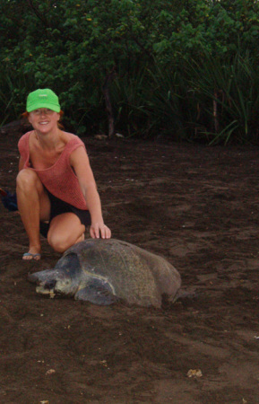 Ostional Beach, Turtle nesting