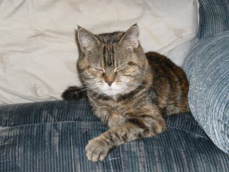 Billie proud of her couch